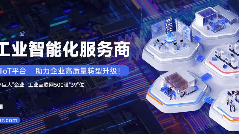 小型挖掘机包月，性价比之选？揭秘价格背后的考量**